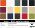 2020  0-SKAJ (NS)  (30tys).jpg